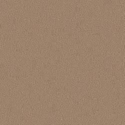 SAND12