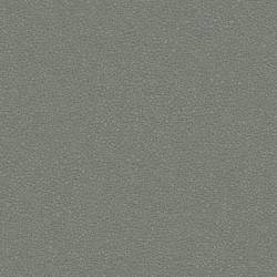 SAND31
