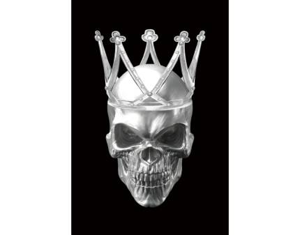 Tablou SKULL II 80x120cm